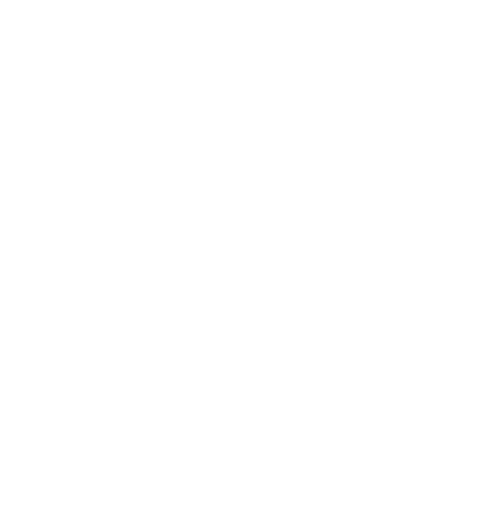 Fat Bison Workshop